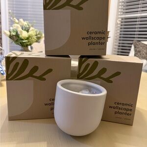 West elm set of 3 Ceramic Wallscape Planter - White